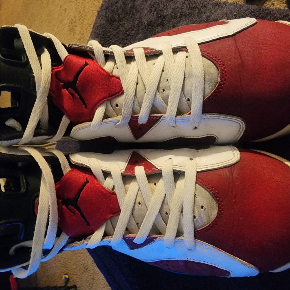 Nike Air Jordan Carmine 6